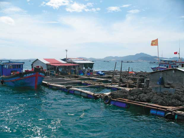 Lồng bè do những người Trung Quốc điều hành.