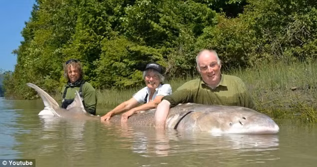 Ông bà Snell và con cá tầm khổng lồ.