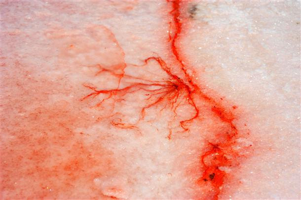 Vẻ đẹp kỳ ảo của hồ muốiở Anatolia, Thổ Nhĩ Kỳ Vẻ đẹp kỳ ảo của hồ muốiở Anatolia, Thổ Nhĩ Kỳ