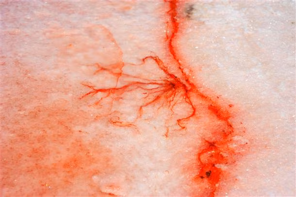 Vẻ đẹp kỳ ảo của hồ muốiở Anatolia, Thổ Nhĩ Kỳ