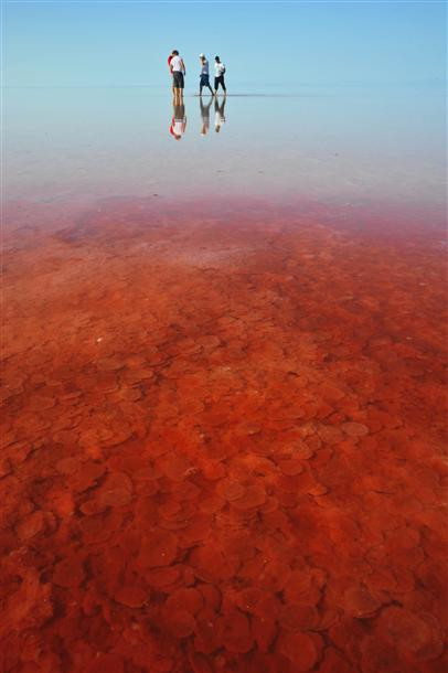 Khách du lịch háo hức thưởng thức cảnh sắc kỳ lạ của hồ muối ở Thổ Nhĩ Kỳ. Khách du lịch háo hức thưởng thức cảnh sắc kỳ lạ của hồ muối ở Thổ Nhĩ Kỳ.