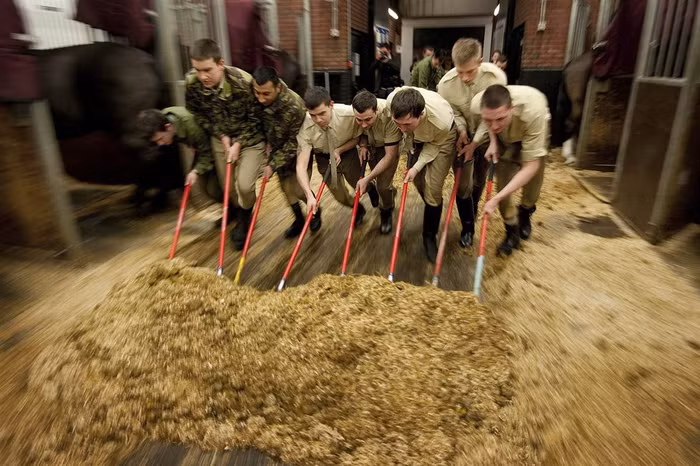 Các thành viên trung đoàn kỵ binh - Household Cavalry Mounted Regiment (HCMR) của quân đội Anh làm nhiệm vụ dọn dẹp buổi sáng ngày 28/3 tại London. Trung đoàn này như một đội quân danh dự sẽ hộ tống Nữ hoàng Elizabeth II trong lễ rước mừng 60 năm trị vì của Nữ hoàng diễn ra vào ngày 6/5 tới và đảm nhiệm các nghi lễ khác trong Thế vận hội Olympic London 2012. Các thành viên trung đoàn kỵ binh - Household Cavalry Mounted Regiment (HCMR) của quân đội Anh làm nhiệm vụ dọn dẹp buổi sáng ngày 28/3 tại London. Trung đoàn này như một đội quân danh dự sẽ hộ tống Nữ hoàng Elizabeth II trong lễ rước mừng 60 năm trị vì của Nữ hoàng diễn ra vào ngày 6/5 tới và đảm nhiệm các nghi lễ khác trong Thế vận hội Olympic London 2012.