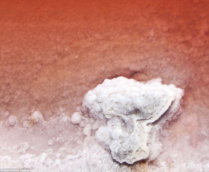 Cảnh tuyệt đẹp từ hồ nước tại Camargue, miền nam nước Pháp Cảnh tuyệt đẹp từ hồ nước tại Camargue, miền nam nước Pháp