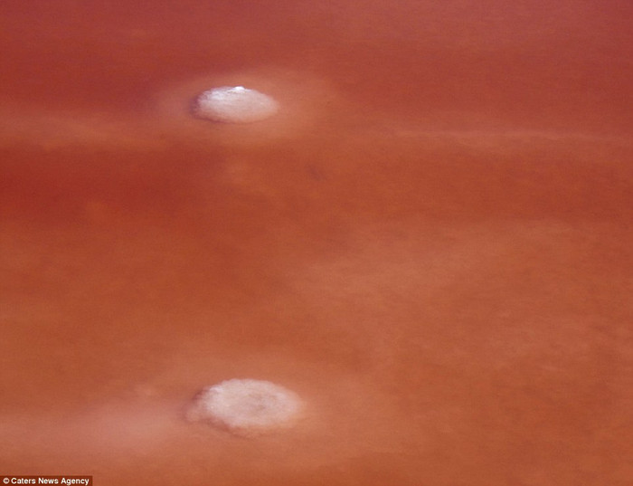 Cảnh tuyệt đẹp từ hồ nước tại Camargue, miền nam nước Pháp Cảnh tuyệt đẹp từ hồ nước tại Camargue, miền nam nước Pháp