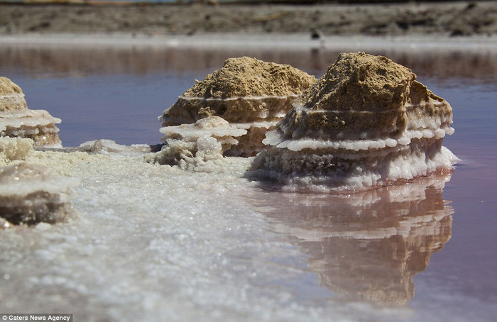 Cảnh tuyệt đẹp từ hồ nước tại Camargue, miền nam nước Pháp Cảnh tuyệt đẹp từ hồ nước tại Camargue, miền nam nước Pháp