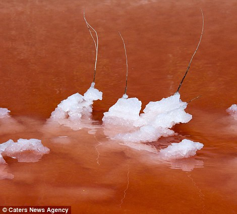 Tinh thể muối nổi trên hồ nước tạo ra cảnh đẹp như trên một hành tinh khác. Tinh thể muối nổi trên hồ nước tạo ra cảnh đẹp như trên một hành tinh khác.