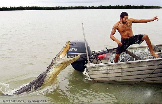 Cá sấu tấn công một người đàn ông Israel tại Úc. Cá sấu tấn công một người đàn ông Israel tại Úc.