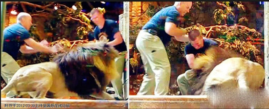 Sư tử tấn công hai nhân viên an ninh ở Las Vegas. Sư tử tấn công hai nhân viên an ninh ở Las Vegas.