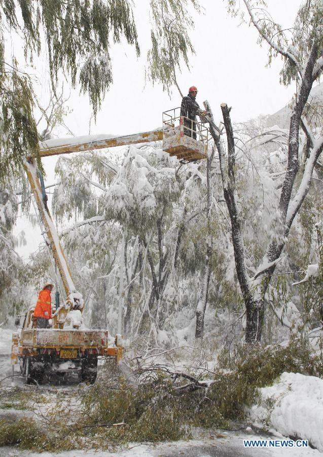 Dọn dẹp cây đổ do tuyết rơi quá dầy.