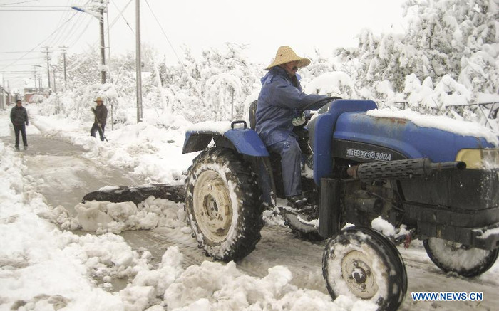 Tuyết phủ trắng cây cối và đường đi lối lại.