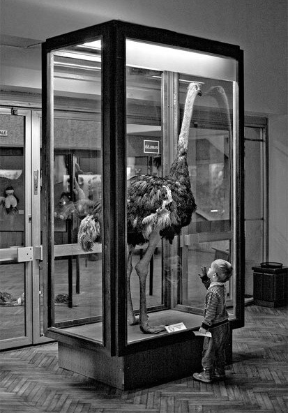 Dovile Dagiene, Lithuania Dovile Dagiene, Lithuania