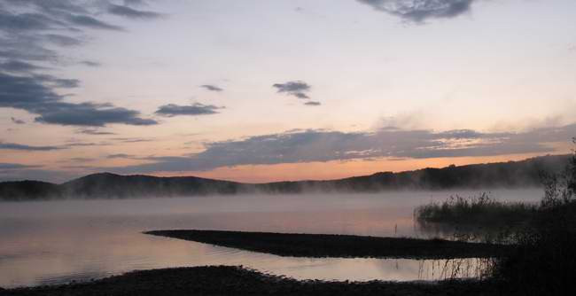 Những bông sen mọc trên hồ nước ở khu vực Viễn Đông trong một chiều muộn tháng 9. Những bông sen mọc trên hồ nước ở khu vực Viễn Đông trong một chiều muộn tháng 9.