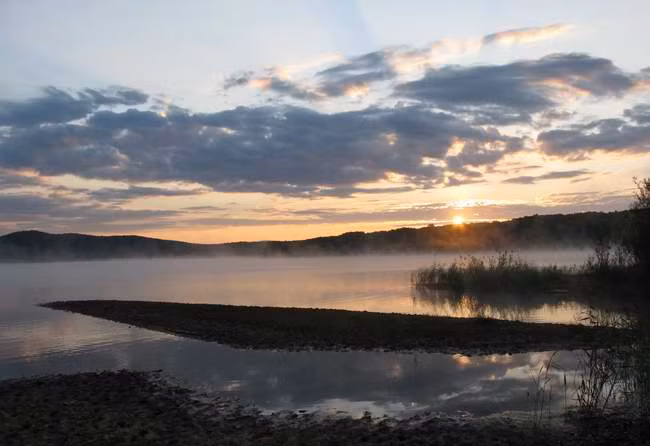 Những bông sen mọc trên hồ nước ở khu vực Viễn Đông trong một chiều muộn tháng 9.