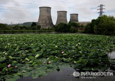 Hoa sen nở rộ trên các hồ nước tại Primorye. Hoa sen nở rộ trên các hồ nước tại Primorye.