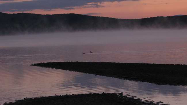 Những bông sen mọc trên hồ nước ở khu vực Viễn Đông trong một chiều muộn tháng 9. Những bông sen mọc trên hồ nước ở khu vực Viễn Đông trong một chiều muộn tháng 9.