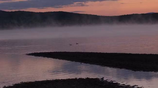 Những bông sen mọc trên hồ nước ở khu vực Viễn Đông trong một chiều muộn tháng 9.
