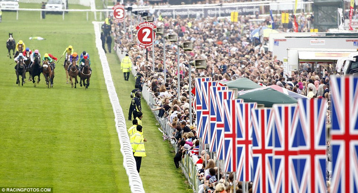 Toàn cảnh trường đua ngựa Toàn cảnh trường đua ngựa