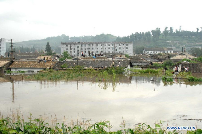 Nhiều nơi ở Anju, người dân buộc phải leo lên mái nhà để tránh nước.