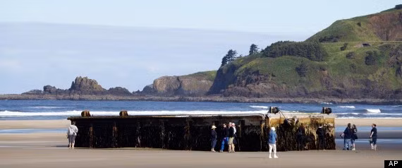 Nhiều người Mỹ đã đổ tới bãi biển để xem chiếc bến tàu đi lạc.