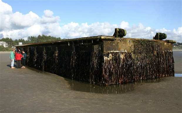 Nó đã trở thành nhà của rất nhiều tảo, trai, cua, hàu, tôm, cua, sò.