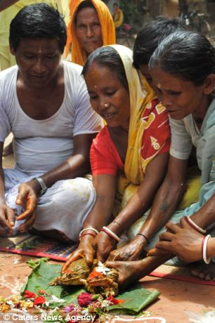 Sau khi nghi lễ hợp hôn cầu mưa kỳ lạ này, cặp ếch sẽ được thả tự do gần một dòng sông trong vùng để tận hưởng tuần trăng mật của chúng. Sau khi nghi lễ hợp hôn cầu mưa kỳ lạ này, cặp ếch sẽ được thả tự do gần một dòng sông trong vùng để tận hưởng tuần trăng mật của chúng.