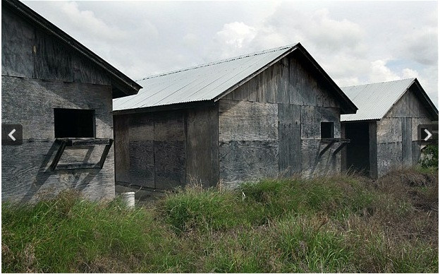 Trại X Ray bị bỏ hoang.