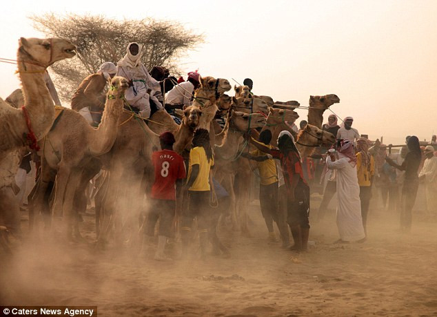 Những người tham gia cuộc đua đều luyện tập mỗi ngày trước khi bước vào trận đấu.