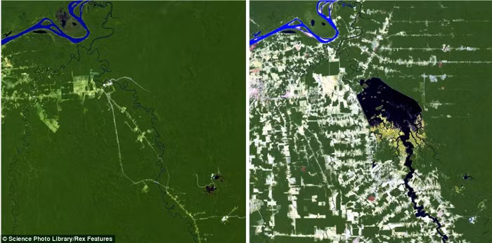 Ảnh được chụp từ vệ tinh Landsat cho thấy khu vực xung quanh đập thủy điện Samuel khi nó bắt đầu được xây dựng vào năm 1984 (trái) trên sông Jamari ở Rodonia, Brazil và trong năm 2011. Ảnh được chụp từ vệ tinh Landsat cho thấy khu vực xung quanh đập thủy điện Samuel khi nó bắt đầu được xây dựng vào năm 1984 (trái) trên sông Jamari ở Rodonia, Brazil và trong năm 2011.