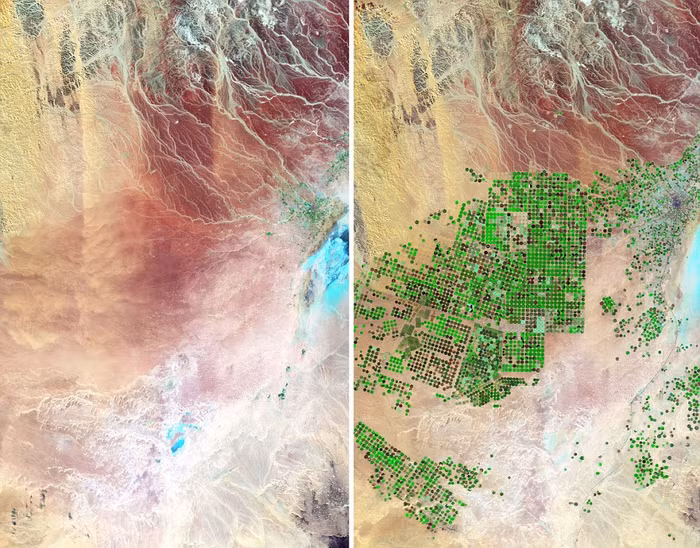 Lưu vực sông Wadi As-Sirhan Basin ở Ả Rập Saudi năm 1987 (trái) và năm 2012. Sa mạc đã được phát triển thành đất công nghiệp và nước sông được khai thác để phục vụ canh tác nông nghiệp. Lưu vực sông Wadi As-Sirhan Basin ở Ả Rập Saudi năm 1987 (trái) và năm 2012. Sa mạc đã được phát triển thành đất công nghiệp và nước sông được khai thác để phục vụ canh tác nông nghiệp.