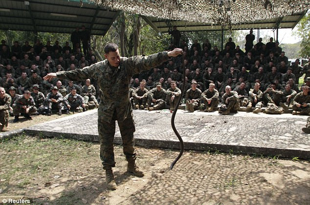 Lính Mỹ trổ tài tay không bắt rắn hổ mang cho đồng đội xem