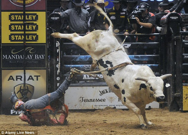 Emilio Resende, 24 tuổi, ở Albuquerque, New Mexico, bị ngã trong một trận đấu tại giải Ty Murray Invitational hôm 25/3. Sống sót, Resende đã giành được vị trí thứ 19 trong số 35 đấu sĩ tham gia giải đấu năm nay với 1 điểm. Emilio Resende, 24 tuổi, ở Albuquerque, New Mexico, bị ngã trong một trận đấu tại giải Ty Murray Invitational hôm 25/3. Sống sót, Resende đã giành được vị trí thứ 19 trong số 35 đấu sĩ tham gia giải đấu năm nay với 1 điểm.