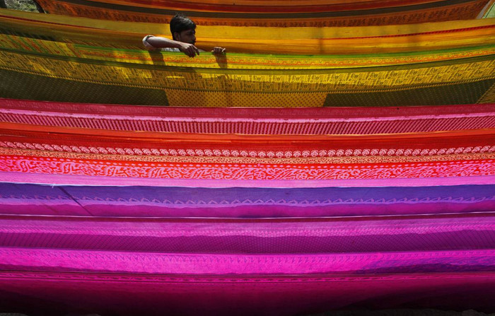 Một người thợ phơi vải sari dành để may quần áo cho phụ nữ tại Ấn Độ sau khi nhuộm tại làng Shardarpara, phía nam tỉnh Kolkata, Ấn Độ ngày 10/