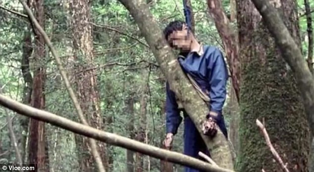 Một người đàn ông tự tử trong rừng Aokigahara Một người đàn ông tự tử trong rừng Aokigahara