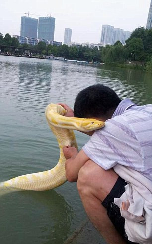 Sự xuất hiện của anh Wang và thú cưng đã biến công viên này thành địa điểm hút khách du lịch. Sự xuất hiện của anh Wang và thú cưng đã biến công viên này thành địa điểm hút khách du lịch.