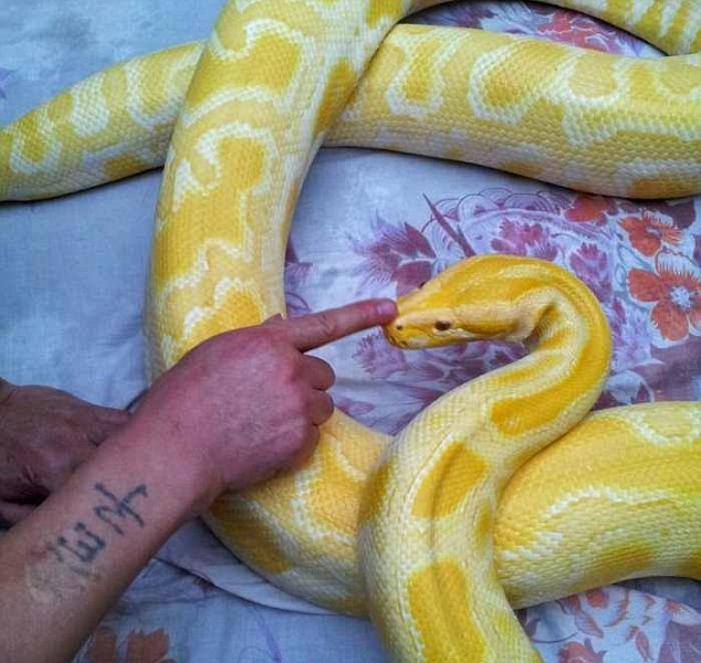 Anh Wang âu yếm thú cưng. Anh Wang âu yếm thú cưng.