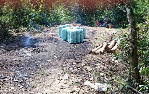 Gỗ được chất đống ven đường chờ vận chuyển tới nơi tiêu thụ (ảnh:PT) Gỗ được chất đống ven đường chờ vận chuyển tới nơi tiêu thụ (ảnh:PT)