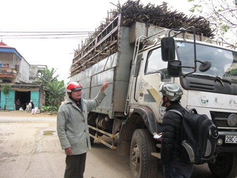 Phương tiện vận chuyển mía nguyên liệu của gia đình ông Bùi Văn Hiếu bị bắt giữ hôm 8/1 (ảnh: ĐỨC THIỆN)