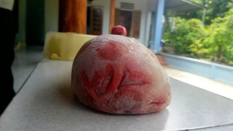 Phần đuôi con "quái thú" có hình đuôi lợn (ảnh: ĐỨC THIỆN) Phần đuôi con "quái thú" có hình đuôi lợn (ảnh: ĐỨC THIỆN)