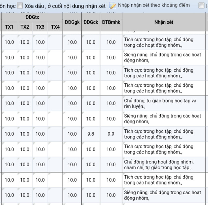 Bảng điểm môn Lịch sử lớp 9 của một trường THCS (Ảnh: N.N.) Bảng điểm môn Lịch sử lớp 9 của một trường THCS (Ảnh: N.N.)