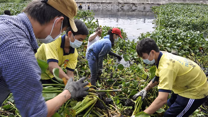 Đoàn viên, thanh niên tham gia khơi rạch Lăng (Bình Thạnh, TPHCM). ảnh: TTO.