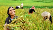Năng suất lao động Việt Nam thuộc nhóm thấp trong khu vực. ảnh: vietq. Năng suất lao động Việt Nam thuộc nhóm thấp trong khu vực. ảnh: vietq.