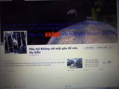 Face Book này lập ra với mong muốn cùng mọi người chung tay bảo vệ đàn gấu