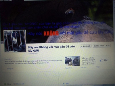 Face Book này lập ra với mong muốn cùng mọi người chung tay bảo vệ đàn gấu Face Book này lập ra với mong muốn cùng mọi người chung tay bảo vệ đàn gấu