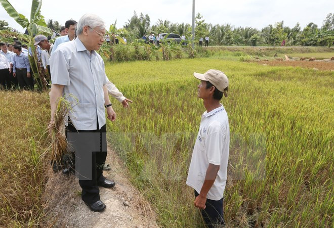 Tổng Bí thư Nguyễn Phú Trọng thăm hỏi nông dân trên cánh đồng lúa bị xâm nhập mặn ở xã Tân Thanh , huyện Giồng Chôm. (Ảnh: Trí Dũng/TTXVN). Tổng Bí thư Nguyễn Phú Trọng thăm hỏi nông dân trên cánh đồng lúa bị xâm nhập mặn ở xã Tân Thanh , huyện Giồng Chôm. (Ảnh: Trí Dũng/TTXVN).