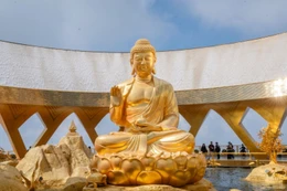 Chuyện ít biết về cây sung cổ bên tượng Phật Câu Na Hàm Mâu Ni trên núi Bà Đen