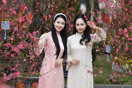 Du khách nô nức check-in không gian hoa xuân Lý Thái Tổ ngày đầu mở cửa