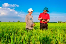 Agribank - Vững thế chủ lực đối với “trụ đỡ” nền kinh tế