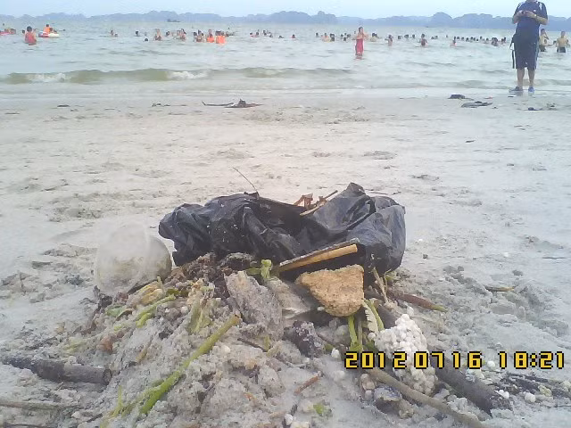 Từ những túi ni-lông... Từ những túi ni-lông...