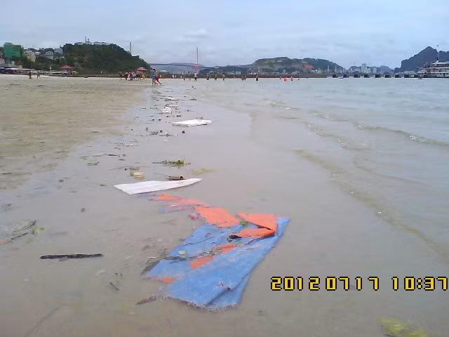 Rác ở lại làm gì? Rác ở lại làm gì?