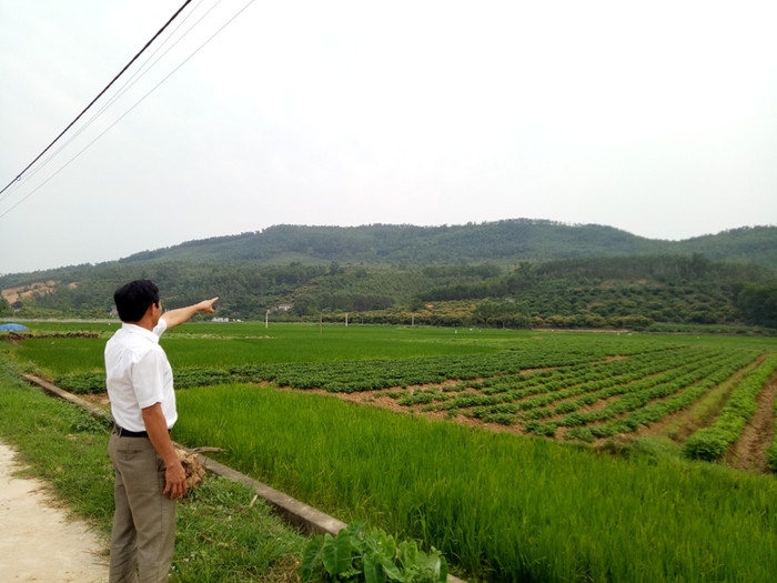Siêu nghĩa trang An Phúc Viên sắp "án ngự" trên đỉnh núi Niêng khiến người dân nơi đây hoang mang, lo lắng (ảnh nguồn Giáo dục Việt Nam) Siêu nghĩa trang An Phúc Viên sắp "án ngự" trên đỉnh núi Niêng khiến người dân nơi đây hoang mang, lo lắng (ảnh nguồn Giáo dục Việt Nam)